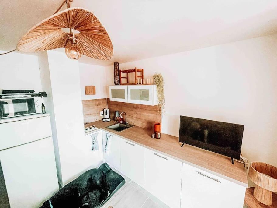 La Casita ,Appartement Face A L'Etang 르발카레스 외부 사진